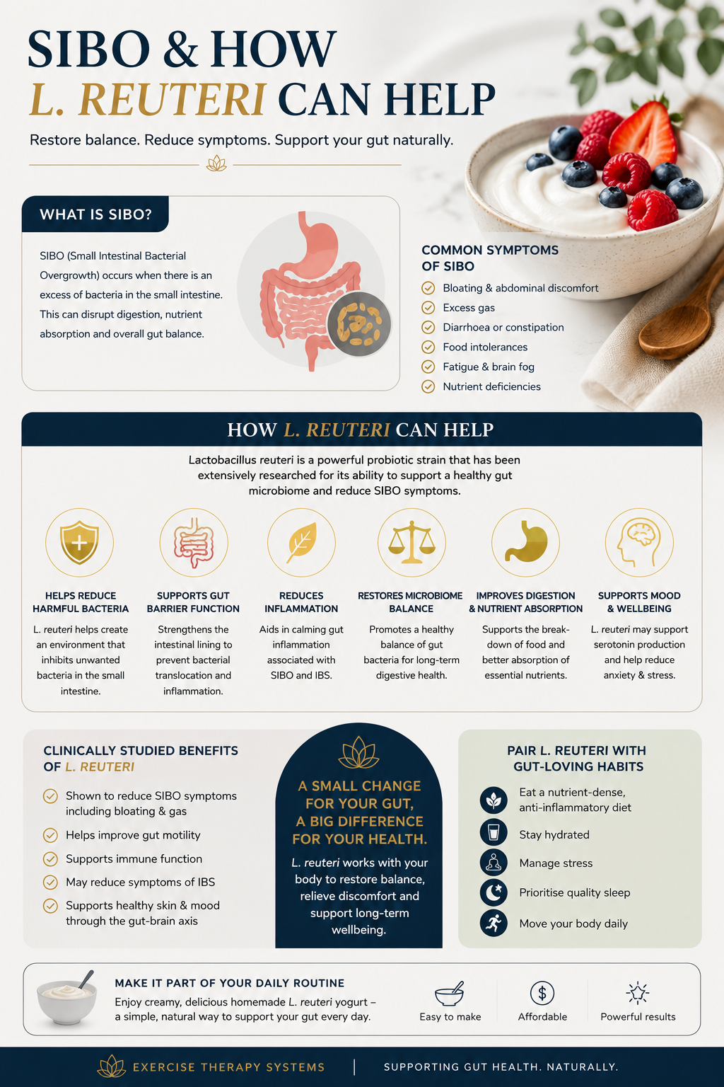 How L. Reuteri Yogurt May Help Support Recovery from SIBO