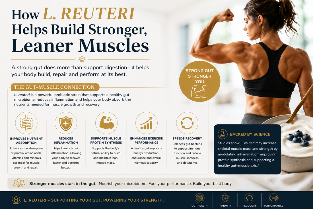 How L. Reuteri Yogurt May Help Support Muscle Growth and Recovery