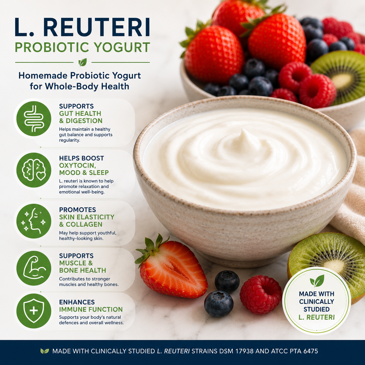 L. Reuteri Probiotic Yogurt / Yoghurt starter culture